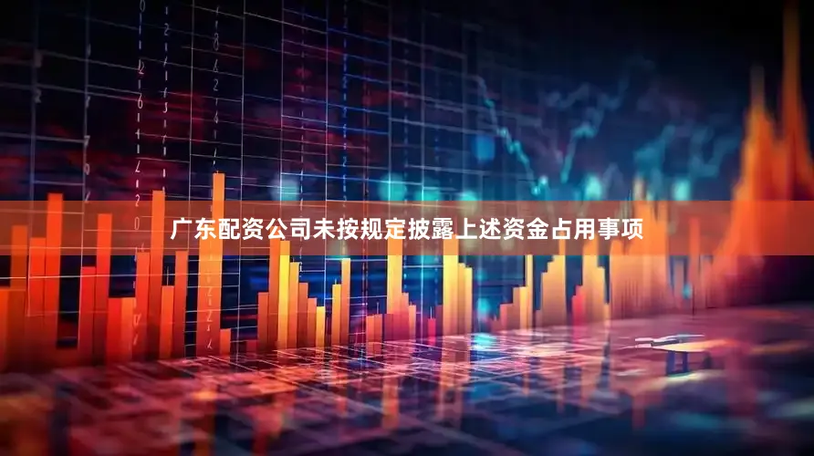 广东配资公司未按规定披露上述资金占用事项