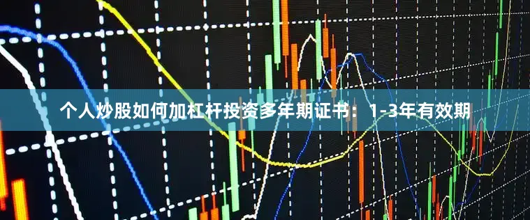 个人炒股如何加杠杆投资多年期证书：1-3年有效期