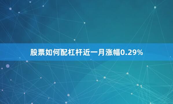 股票如何配杠杆近一月涨幅0.29%