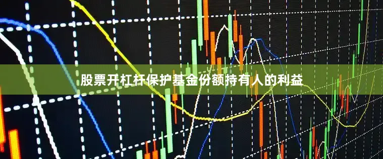 股票开杠杆保护基金份额持有人的利益