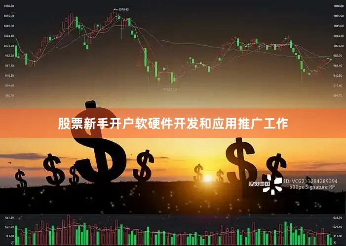 股票新手开户软硬件开发和应用推广工作