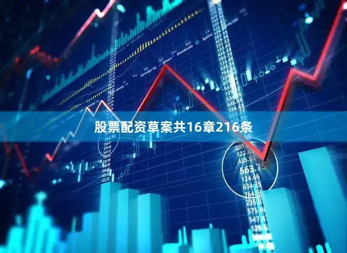 股票配资草案共16章216条