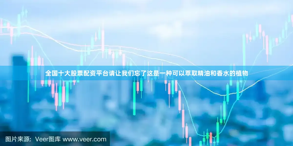 全国十大股票配资平台请让我们忘了这是一种可以萃取精油和香水的植物